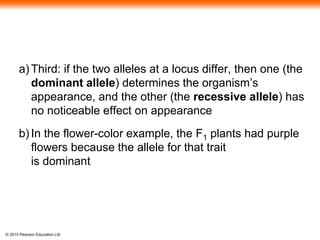 © 2015 Pearson Education Ltd
a) Third: if the two alleles at a locus differ, then one (the
dominant allele) determines the organism’s
appearance, and the other (the recessive allele) has
no noticeable effect on appearance
b) In the flower-color example, the F1 plants had purple
flowers because the allele for that trait
is dominant
 