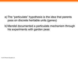 © 2015 Pearson Education Ltd
a) The “particulate” hypothesis is the idea that parents
pass on discrete heritable units (genes)
b) Mendel documented a particulate mechanism through
his experiments with garden peas
 
