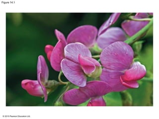 © 2015 Pearson Education Ltd.
Figure 14.1
 