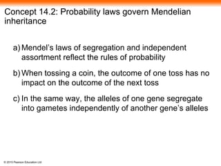 © 2015 Pearson Education Ltd
Concept 14.2: Probability laws govern Mendelian
inheritance
a) Mendel’s laws of segregation and independent
assortment reflect the rules of probability
b) When tossing a coin, the outcome of one toss has no
impact on the outcome of the next toss
c) In the same way, the alleles of one gene segregate
into gametes independently of another gene’s alleles
 