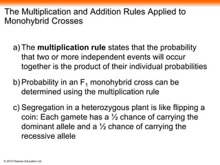 © 2015 Pearson Education Ltd
The Multiplication and Addition Rules Applied to
Monohybrid Crosses
a) The multiplication rule states that the probability
that two or more independent events will occur
together is the product of their individual probabilities
b) Probability in an F1 monohybrid cross can be
determined using the multiplication rule
c) Segregation in a heterozygous plant is like flipping a
coin: Each gamete has a ½ chance of carrying the
dominant allele and a ½ chance of carrying the
recessive allele
 
