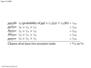 © 2015 Pearson Education Ltd.
Figure 14.UN02
 