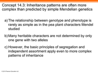 © 2015 Pearson Education Ltd
Concept 14.3: Inheritance patterns are often more
complex than predicted by simple Mendelian genetics
a) The relationship between genotype and phenotype is
rarely as simple as in the pea plant characters Mendel
studied
b) Many heritable characters are not determined by only
one gene with two alleles
c) However, the basic principles of segregation and
independent assortment apply even to more complex
patterns of inheritance
 