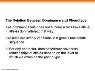 © 2015 Pearson Education Ltd
The Relation Between Dominance and Phenotype
a) A dominant allele does not subdue a recessive allele;
alleles don’t interact that way
b) Alleles are simply variations in a gene’s nucleotide
sequence
c) For any character, dominance/recessiveness
relationships of alleles depend on the level at
which we examine the phenotype
 