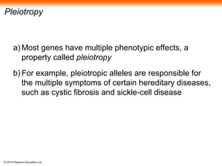 © 2015 Pearson Education Ltd
Pleiotropy
a) Most genes have multiple phenotypic effects, a
property called pleiotropy
b) For example, pleiotropic alleles are responsible for
the multiple symptoms of certain hereditary diseases,
such as cystic fibrosis and sickle-cell disease
 