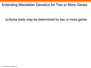 © 2015 Pearson Education Ltd
Extending Mendelian Genetics for Two or More Genes
a) Some traits may be determined by two or more genes
 