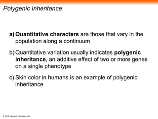 © 2015 Pearson Education Ltd
Polygenic Inheritance
a) Quantitative characters are those that vary in the
population along a continuum
b) Quantitative variation usually indicates polygenic
inheritance, an additive effect of two or more genes
on a single phenotype
c) Skin color in humans is an example of polygenic
inheritance
 
