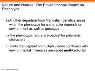 © 2015 Pearson Education Ltd
Nature and Nurture: The Environmental Impact on
Phenotype
a) Another departure from Mendelian genetics arises
when the phenotype for a character depends on
environment as well as genotype
b) The phenotypic range is broadest for polygenic
characters
c) Traits that depend on multiple genes combined with
environmental influences are called multifactorial
 