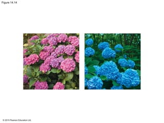 © 2015 Pearson Education Ltd.
Figure 14.14
 