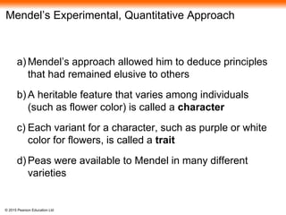 © 2015 Pearson Education Ltd
Mendel’s Experimental, Quantitative Approach
a) Mendel’s approach allowed him to deduce principles
that had remained elusive to others
b) A heritable feature that varies among individuals
(such as flower color) is called a character
c) Each variant for a character, such as purple or white
color for flowers, is called a trait
d) Peas were available to Mendel in many different
varieties
 