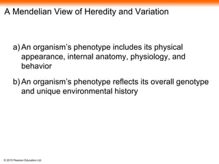 © 2015 Pearson Education Ltd
A Mendelian View of Heredity and Variation
a) An organism’s phenotype includes its physical
appearance, internal anatomy, physiology, and
behavior
b) An organism’s phenotype reflects its overall genotype
and unique environmental history
 