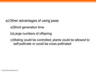 © 2015 Pearson Education Ltd
a) Other advantages of using peas
a)Short generation time
b)Large numbers of offspring
c)Mating could be controlled; plants could be allowed to
self-pollinate or could be cross pollinated
 