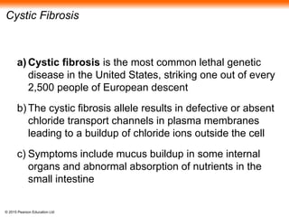 © 2015 Pearson Education Ltd
Cystic Fibrosis
a) Cystic fibrosis is the most common lethal genetic
disease in the United States, striking one out of every
2,500 people of European descent
b) The cystic fibrosis allele results in defective or absent
chloride transport channels in plasma membranes
leading to a buildup of chloride ions outside the cell
c) Symptoms include mucus buildup in some internal
organs and abnormal absorption of nutrients in the
small intestine
 