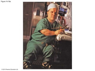 © 2015 Pearson Education Ltd.
Figure 14.18a
 