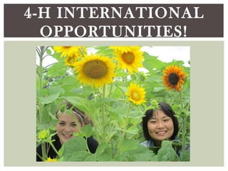 4-H INTERNATIONAL
OPPORTUNITIES!
 