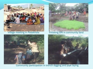 Village meeting in Podakhala         Initiating SRI in community land




       Community participation in trench digging and pipe laying
 