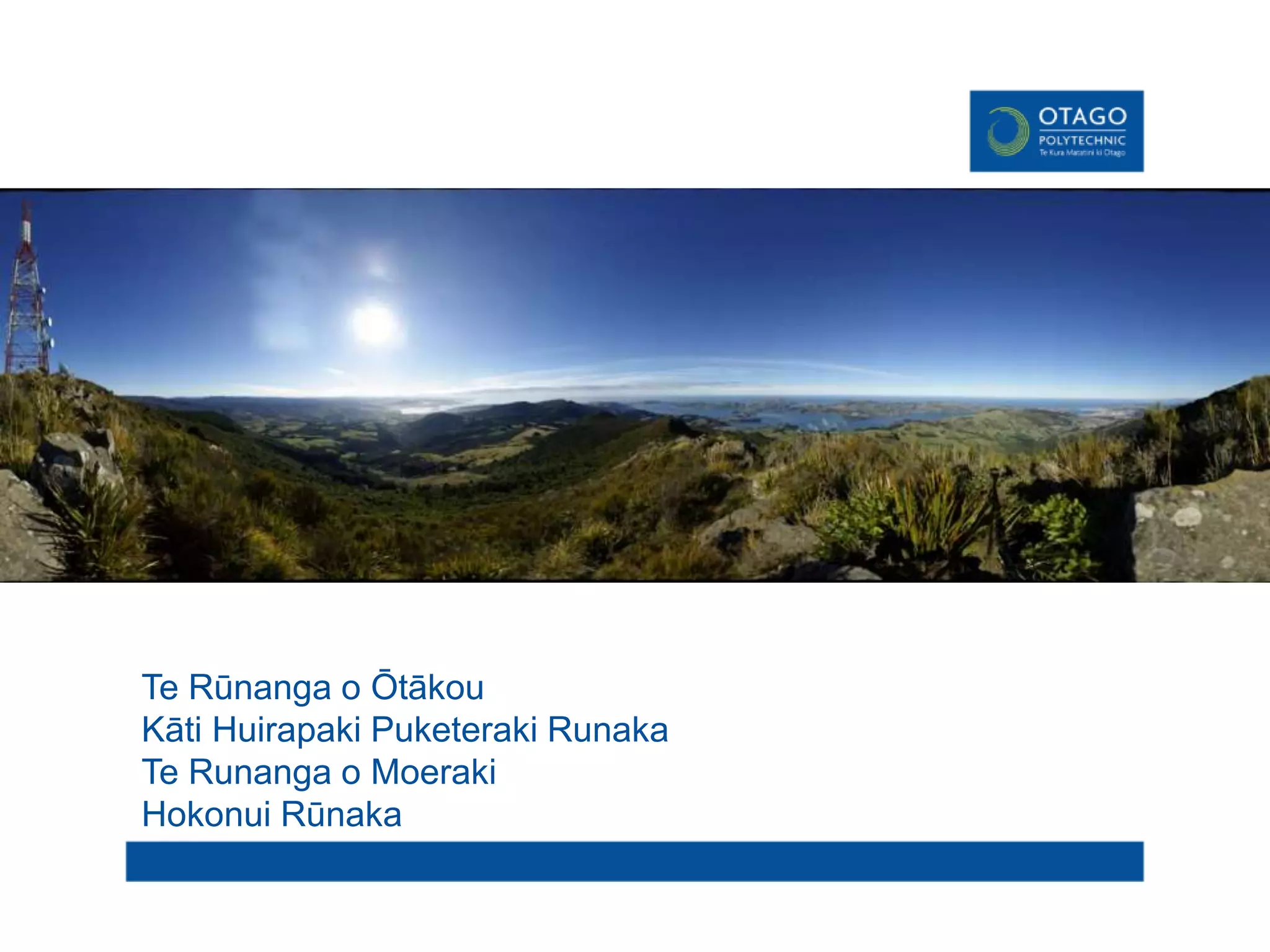 Te Rūnanga o Ōtākou
Kāti Huirapaki Puketeraki Runaka
Te Runanga o Moeraki
Hokonui Rūnaka
 