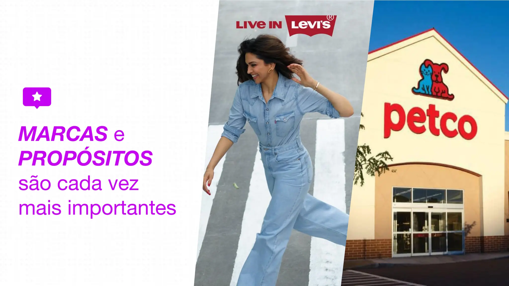 MARCAS e
PROPÓSITOS
são cada vez
mais importantes
