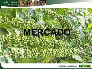 MERCADO

 