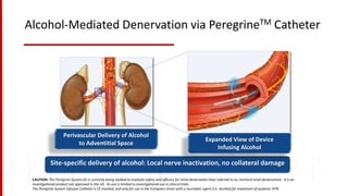 PCI & AimRadial 2018 | Innovation in Cardiovascular Medicine - Tim A ...
