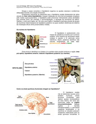 Curso de Fisiologia 2007 Ciclo de Neurofisiologia
Departamento de Fisiologia, IB Unesp-Botucatu Profa. Silvia M. Nishida
167
Graças a essas conexões o hipotálamo organiza os ajustes viscerais e endócrinos
adequados durante uma reação emocional.
Éimportante mencionar as aferências que o hipotálamo recebe diretamente da retina
através do trato retino-hipotalâmico. Graças à detecção do ritmo de luminosidade circadiana
pelo núcleo supra-quiasmatico, o hipotálamo pode sincronizar ritmicamente várias atividades
que controla como, por exemplo, a termorregulaçâo, a secreção de hormônios da adeno-
hipófise, o ciclo sono-vigilia, etc. No ciclo sono-vigilia o hipotálamo participa através de grupos
de neurônios histaminergicos do hipotálamo posterior os quais recebem aferências do sistema
de modulação difuso (feixe prosencefálico medial).
Os núcleos do hipotálamo
O hipotálamo é praticamente uma
massa de substância cinzenta com inúmeros
núcleos. Uma maneira de reconhecer esses
núcleos é usando o III ventrículo como
referência. Assim, podemos identificar três
colunas longitudinais de cada lado:
periventricular, medial e lateral.
Outra forma é identificar os núcleos é no sentido rostro-caudal conforme a região: área
pré-optica; hipotálamo anterior, tuberal e hipotálamo posterior (ou mamilar).
Como os sinais químicos (humorais) chegam ao hipotálamo?
O hipotálamo recebe
não só aferências neurais como
também humorais (sinais
químicos circulantes) para
realizar ajustes homeostáticos
do meio interno. Em torno dos
ventrículos estão os órgãos
circunventriculares. Nessas
regiões a barreita
hematoencefalica é permeável
(capilares fenestrados) e os
neurônios aí situados possuem
receptores moleculares para os
sinais químicos circulantes. A
Hipotálamo posterior ( Mamilar)
HIPOTÁLAMO
Área pré-ótica
Tuberal
Hipotálamo anterior
 