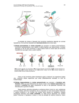 Curso de Fisiologia 2007 Ciclo de Neurofisiologia
Departamento de Fisiologia, IB Unesp-Botucatu Profa. Silvia M. Nishida
169
A atividade de síntese e liberação dos hormônios hipofisários depende de controle
hipotalâmico. Os neurônios hipotalâmicos neurossecretores são de dois tipos:
1) Células parvicelulares do núcleo arqueado que secretam no sistema porta-hipofisario,
hormônios hipofiseotrópicos (com destino à adeno-hipófise) que determinarão a síntese/
liberação ou não de seus hormônios. A figura abaixo ilustra os vários tipos de hormônios
hipotalâmicos que agem sobre a adeno-hipófise.
Cada um dos hormônios adeno-hipofisários agirão a distancia nos respectivos órgãos
alvo, causando efeitos específicos que serão detalhadamente estudado no ciclo de
Endocrinologia.
2) Células magnocelulares do núcleo paraventricular que secretam o hormônio anti-
diuretico (ADH) que age diretamente nos túbulos renais e dos núcleos supra-oticos que
secretam a ocitocina que agem diretamente no útero e nas glândulas mamarias, são
liberadas para a grande circulação.
Desta maneira, estímulos originados no ambiente externo (como luz, som, substâncias
químicas voláteis, estímulos nociceptivos, etc) ou originados no meio interno podem influenciar
o sistema endócrino e as funções dos tecidos alvos através do hipotálamo. Estados
psicológicos alterados como medo, ansiedade, ira, libido sexual, depressão, etc. também
podem influenciar o hipotálamo e alterar o nível de atividade do sistema endócrino. Assim
CRH: hormônio liberador de corticotrofina; TRH: hormônio liberador de tireotrofina; GnRH: hormônio liberador de
gonadotrofina; GRH: hormônio liberador de GH; GIH:hormônio inibidor de GH; PRH hormônio liberador de
prolactina; PIH: hormônio inibidor da prolactina.
 