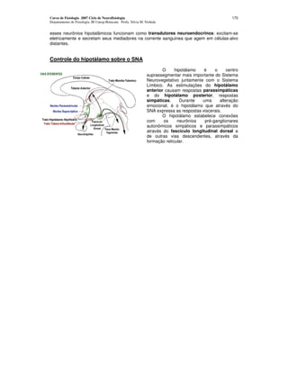 Curso de Fisiologia 2007 Ciclo de Neurofisiologia
Departamento de Fisiologia, IB Unesp-Botucatu Profa. Silvia M. Nishida
170
esses neurônios hipotalâmicos funcionam como transdutores neuroendocrinos: excitam-se
eletricamente e secretam seus mediadores na corrente sanguinea que agem em células-alvo
distantes.
Controle do hipotálamo sobre o SNA
O hipotálamo é o centro
suprassegmentar mais importante do Sistema
Neurovegetativo juntamente com o Sistema
Límbico. As estimulações do hipotálamo
anterior causam respostas parassimpáticas
e do hipotálamo posterior, respostas
simpáticas. Durante uma alteração
emocional, é o hipotálamo que através do
SNA expressa as respostas viscerais.
O hipotálamo estabelece conexões
com os neurônios pré-ganglionares
autonômicos simpáticos e parassimpáticos
através do fascículo longitudinal dorsal e
de outras vias descendentes, através da
formação reticular.
 