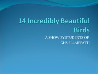 A SHOW BY STUDENTS OF  GHS ELLAIPPATTI 