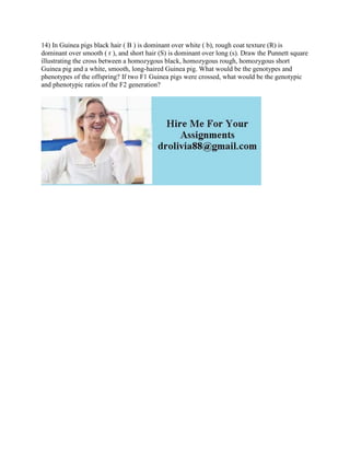 14) In Guinea pigs black hair ( B ) is dominant over white ( b), rough coat texture (R) is
dominant over smooth ( r ), and short hair (S) is dominant over long (s). Draw the Punnett square
illustrating the cross between a homozygous black, homozygous rough, homozygous short
Guinea pig and a white, smooth, long-haired Guinea pig. What would be the genotypes and
phenotypes of the offspring? If two F1 Guinea pigs were crossed, what would be the genotypic
and phenotypic ratios of the F2 generation?
 
