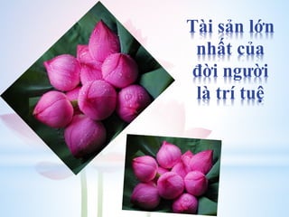 Tài sản lớn
nhất của
đời người
là trí tuệ
 