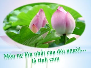 14 điều phật dạy