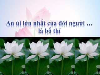 An ủi lớn nhất của đời người …
là bố thí
 