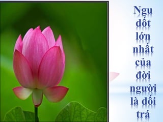 Ngu
dốt
lớn
nhất
của
đời
người
là dối
trá
 