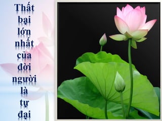 Thất
bại
lớn
nhất
của
đời
người
là
tự
đại
 