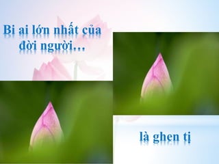 Bi ai lớn nhất của
đời người…
là ghen tị
 