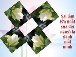 Sai lầm
lớn nhất
của đời
người là
đánh
mất
mình
 