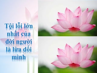 Tội lỗi lớn
nhất của
đời người
là lừa dối
mình
 