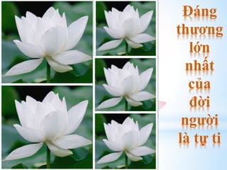 Đáng
thương
lớn
nhất
của
đời
người
là tự ti
 