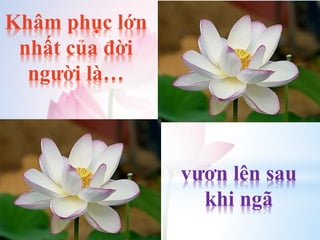 Khâm phục lớn
nhất của đời
người là…
vươn lên sau
khi ngã
 
