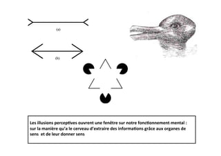  
Les	
  illusions	
  percep2ves	
  ouvrent	
  une	
  fenêtre	
  sur	
  notre	
  fonc2onnement	
  mental	
  :	
  
sur	
  la	
  manière	
  qu’a	
  le	
  cerveau	
  d’extraire	
  des	
  informa2ons	
  grâce	
  aux	
  organes	
  de	
  
sens	
  	
  et	
  de	
  leur	
  donner	
  sens	
  
	
  	
  
 