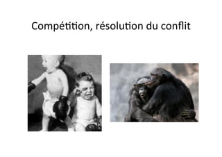 Compé33on,	
  résolu3on	
  du	
  conﬂit	
  
 