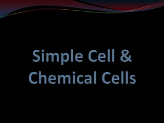 Simple Cell & Chemical Cells 