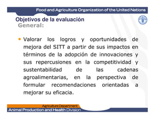 General:General:
• Valorar los logros y oportunidades de
mejora del SITT a partir de sus impactos en
términos de la adopción de innovaciones y
sus repercusiones en la competitividad y
Objetivos de la evaluación
sus repercusiones en la competitividad y
sustentabilidad de las cadenas
agroalimentarias, en la perspectiva de
formular recomendaciones orientadas a
mejorar su eficacia.
 