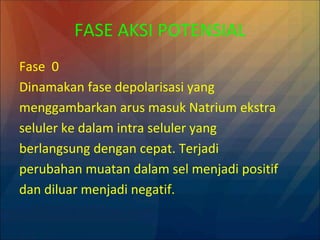 FASE AKSI POTENSIAL
Fase 0
Dinamakan fase depolarisasi yang
menggambarkan arus masuk Natrium ekstra
seluler ke dalam intra seluler yang
berlangsung dengan cepat. Terjadi
perubahan muatan dalam sel menjadi positif
dan diluar menjadi negatif.
 