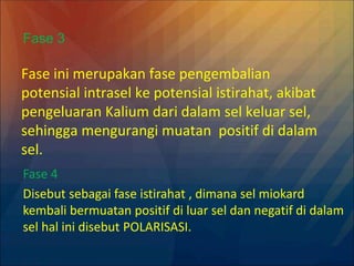 Fase ini merupakan fase pengembalian
potensial intrasel ke potensial istirahat, akibat
pengeluaran Kalium dari dalam sel keluar sel,
sehingga mengurangi muatan positif di dalam
sel.
Fase 3
Fase 4
Disebut sebagai fase istirahat , dimana sel miokard
kembali bermuatan positif di luar sel dan negatif di dalam
sel hal ini disebut POLARISASI.
 