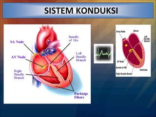 SISTEM KONDUKSI
 