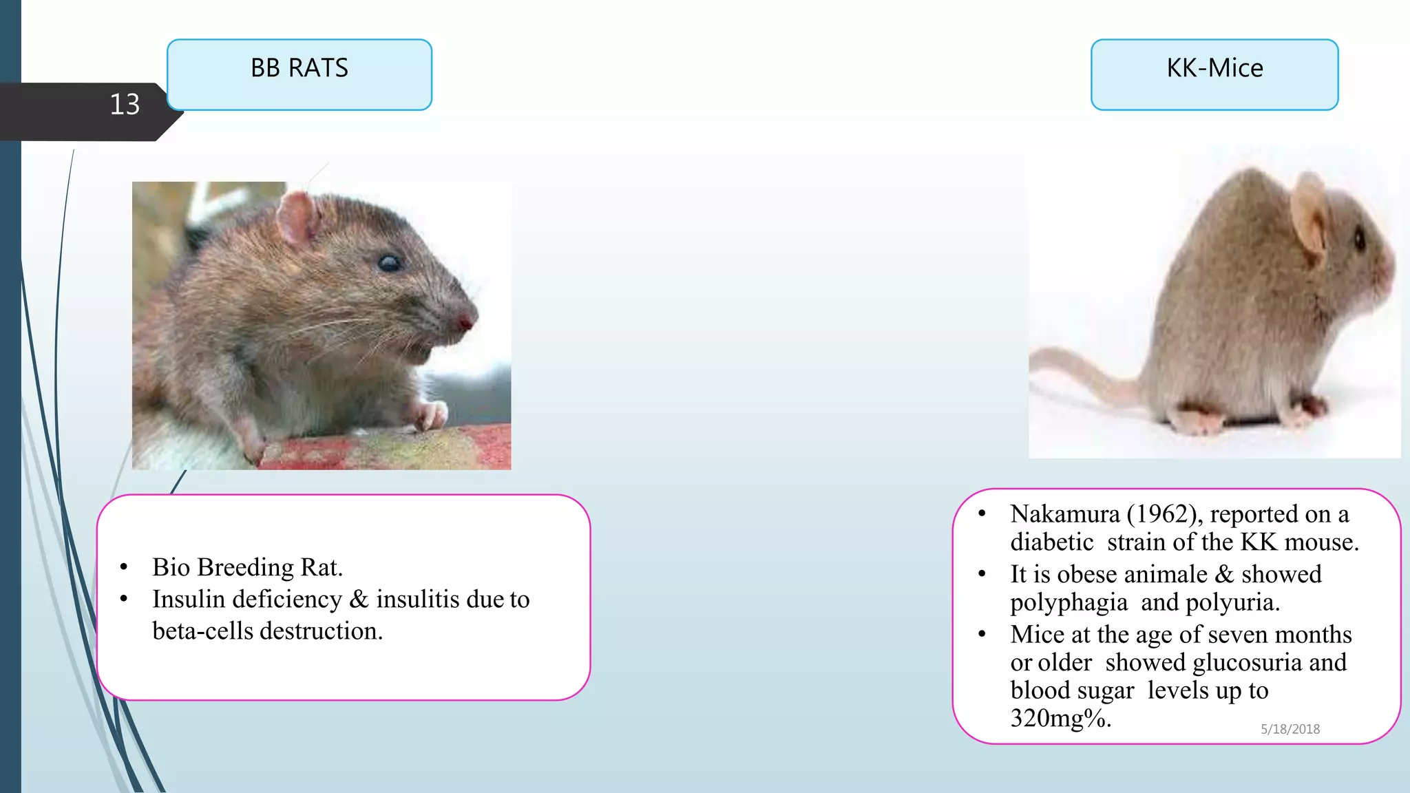 screening model for diabetes | PPTX