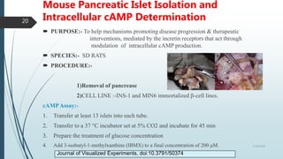 Mouse Pancreatic Islet Isolation and
Intracellular cAMP Determination
 PURPOSE:- To help mechanisms promoting disease progression & therapeutic
interventions, mediated by the incretin receptors that act through
modulation of intracellular cAMP production.
 SPECIES:- SD RATS
 PROCEDURE:-
1)Removal of pancrease
2)CELL LINE :-INS-1 and MIN6 immortalized β-cell lines.
cAMPAssay:-
1. Transfer at least 13 islets into each tube.
2. Transfer to a 37 °C incubator set at 5% CO2 and incubate for 45 min
3. Prepare the treatment of glucose concentration
4. Add 3-isobutyl-1-methylxanthine (IBMX) to a final concentration of 200 μM. 5/18/2018
20
Journal of Visualized Experiments, doi:10.3791/50374
 