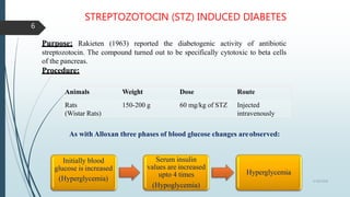 Purpose: Rakieten (1963) reported the diabetogenic activity of antibiotic
streptozotocin. The compound turned out to be specifically cytotoxic to beta cells
of the pancreas.
Procedure:
Animals Weight Dose Route
Rats
(Wistar Rats)
150-200 g 60 mg/kg of STZ Injected
intravenously
As with Alloxan three phases of blood glucose changes areobserved:
Initially blood
glucose is increased
(Hyperglycemia)
Serum insulin
values are increased
upto 4 times
(Hypoglycemia)
Hyperglycemia
STREPTOZOTOCIN (STZ) INDUCED DIABETES
5/18/2018
6
 