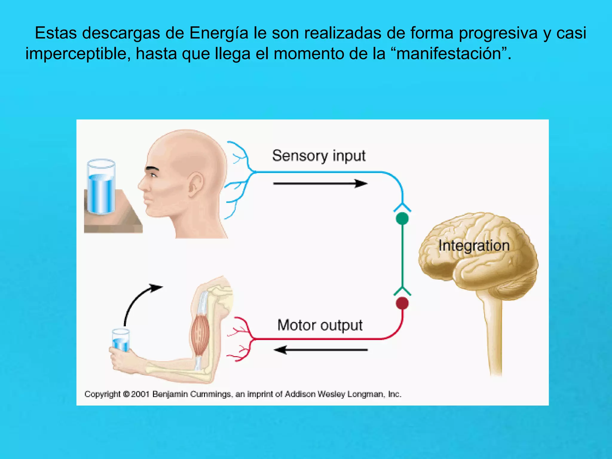 Estas descargas de Energía le son realizadas de forma progresiva y casi
imperceptible, hasta que llega el momento de la “manifestación”.
 